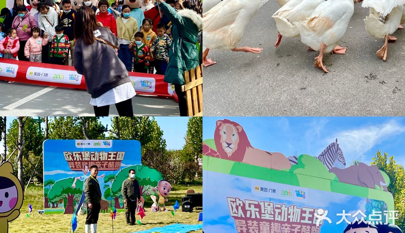 济南旅游|🦒长颈鹿下午茶也太好拍了～