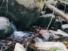 -梧桐山风景名胜区