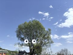 -红螺寺