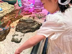 -沈阳海洋探索中心