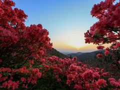 -木兰云雾山