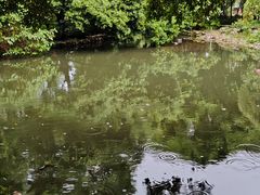 -成都市活水公园