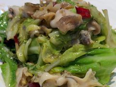 -瓦国小镇·果木烤鸭·融合菜(西口店)