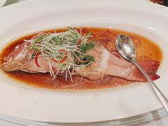 -老洋房花园饭店(绍兴路店)