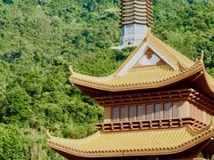 -深圳市中科院仙湖植物园