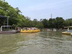 -上海海湾国家森林公园