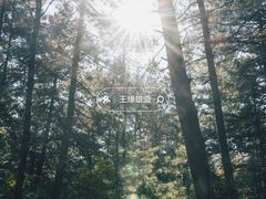 -帽儿山国家森林公园