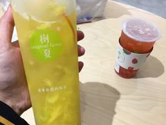 -树夏(鹭洲里店)