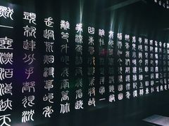 -啤仕多·啤客国潮跳舞BAR(保俶路店)