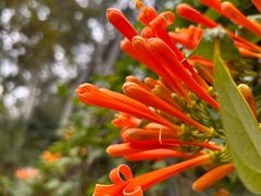 -佬湘楼·27年湘菜(天河都市广场店)