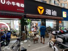 -雅迪电动车(北艾路店)