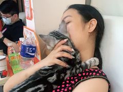 -lincat·猫舍(广州店)
