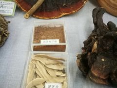 -北京中医药大学-中医药博物馆
