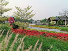 -映月湖公园
