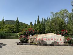 -习家池