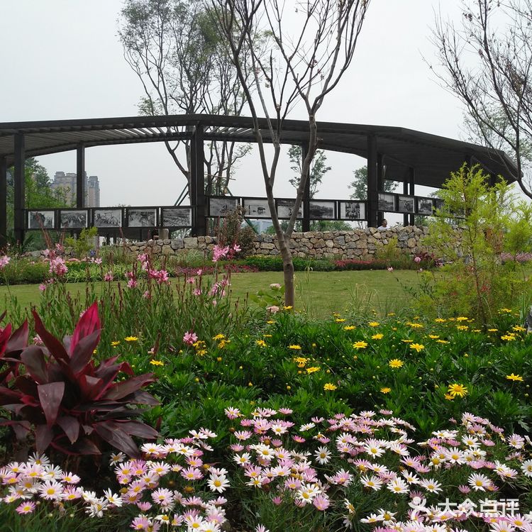 沿着三环的熊猫绿道骑行而来，并不远在华侨城对面