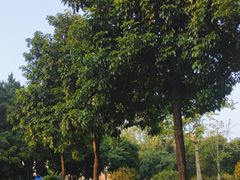 -广州七星岗古海岸遗址科学公园