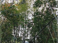 -东南悬空寺方广岩