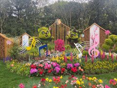 -上海共青森林公园