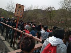 -石家庄市动物园