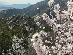 -北京凤凰岭
