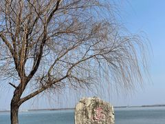 -南湖国家城市湿地公园