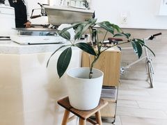 -Onirii Coffee(长乐路店)