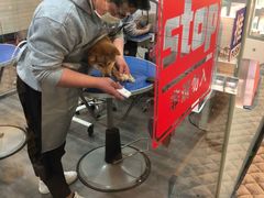 -PETKIT小佩宠物(古北店)