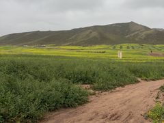 -扁都口生态休闲旅游区
