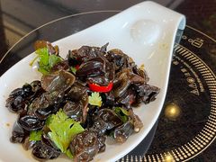 凉拌木耳-玉兰苑一等茶餐厅