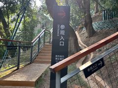 -马王堆汉墓遗址