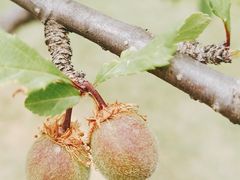 -滨河世纪广场公园