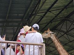 -秦皇岛野生动物园