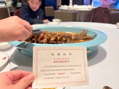 -阿五黄河大鲤鱼(纬三路店)