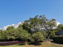 -宝界山林公园