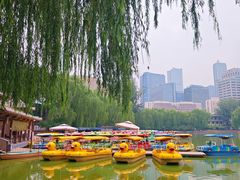 -团结湖公园
