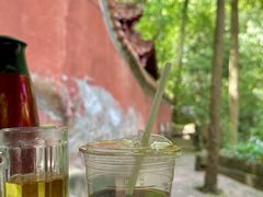 -都江堰普照寺