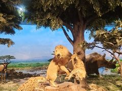 -国家自然博物馆