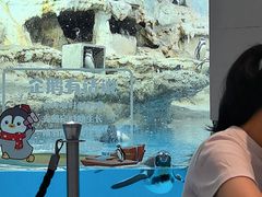 -帝企鹅自助餐厅•儿童岛•真企鹅(长隆企鹅酒店)