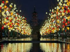 -龙华寺