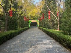 -大槐树寻根祭祖园