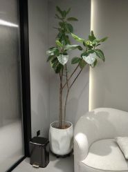 -颜蕾医美·黄金微针·水光·玻尿酸·超声炮·抗衰中心