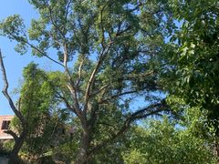 -盛龙生态风情园