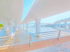 -演武大桥观景平台