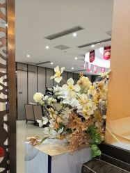 -四川娇点医学美容医院
