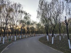 -东郊湿地公园