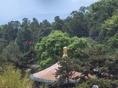-潭柘寺景区