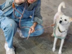 -盱眙虾怪·旗舰店