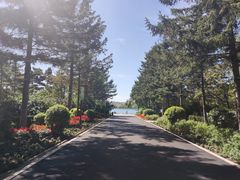 -长春市南湖公园