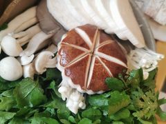 菌蔬合盘-烹然四季椰子鸡火锅(团结湖总店)